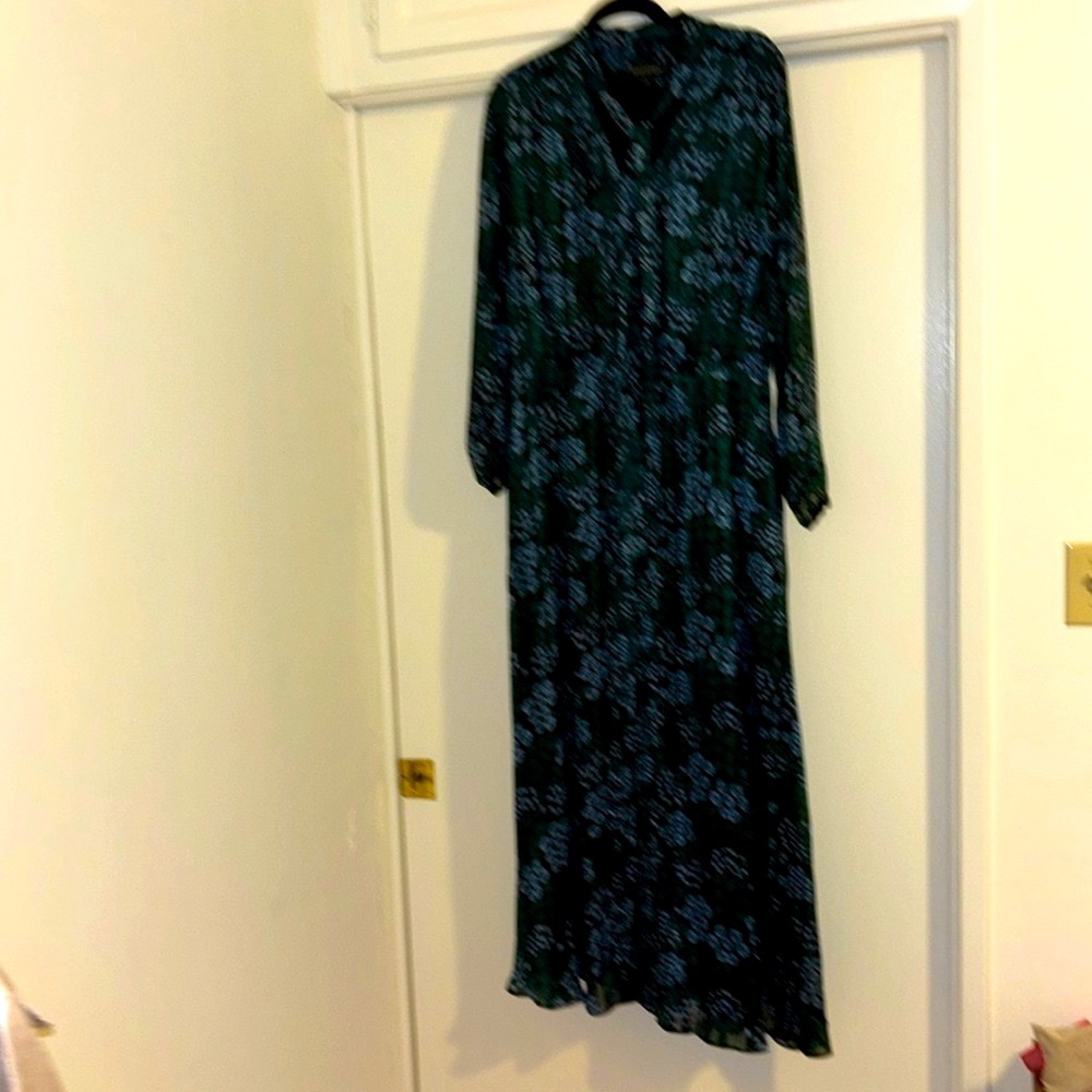 COPY - Banana Republic Flower print maxi dress w/ neck tie and V neck